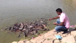 Fishing in Rajasthan